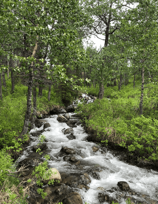 Getting Unstuck: From Procrastination to Creative Flow