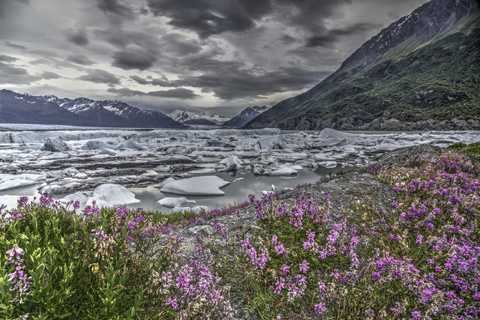 Healing Energy of the Natural World