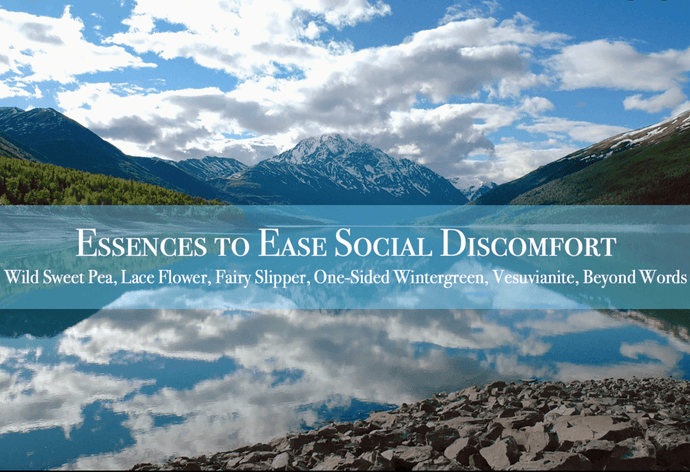 Essences to Ease Social Discomfort