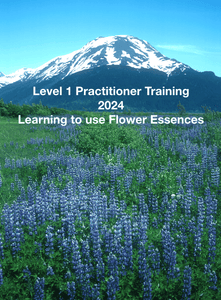 Level 1 Practitioner Training (Friday) - Learning to use Flower Essences