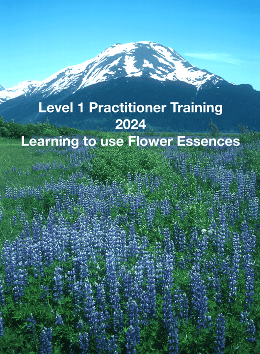 Level 1 Practitioner Training (Thursday) - Learning to use Flower Essences