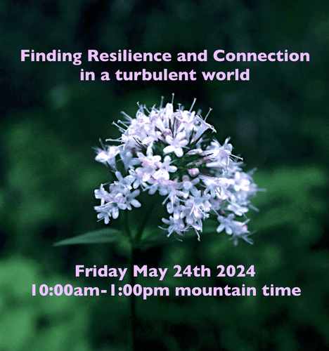 Finding Resilience and Connection in a Turbulent World (5/24/24)