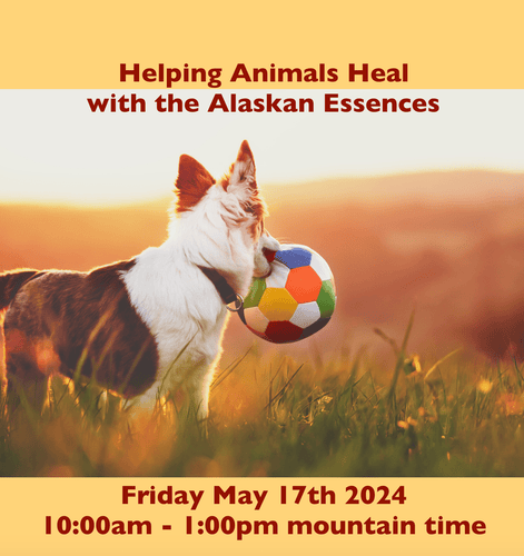 Helping Animals Heal with the Alaskan Essences (5/17/24)