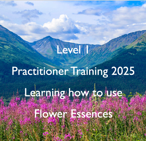 Level 1 Practitioner Training (Friday) - Learning to use Flower Essences