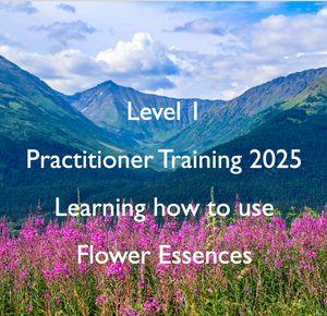 Level 1 Practitioner Training (Friday) - Learning to use Flower Essences