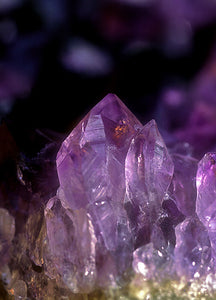 Brazilian Amethyst